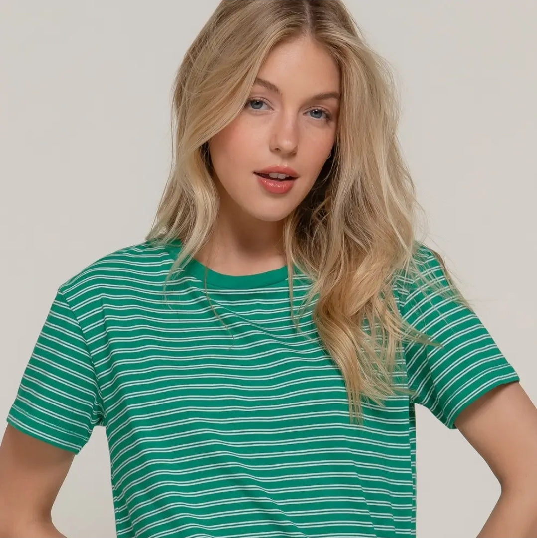 Short Sleeve Round Neck Y/D Stripe Tee image 0
