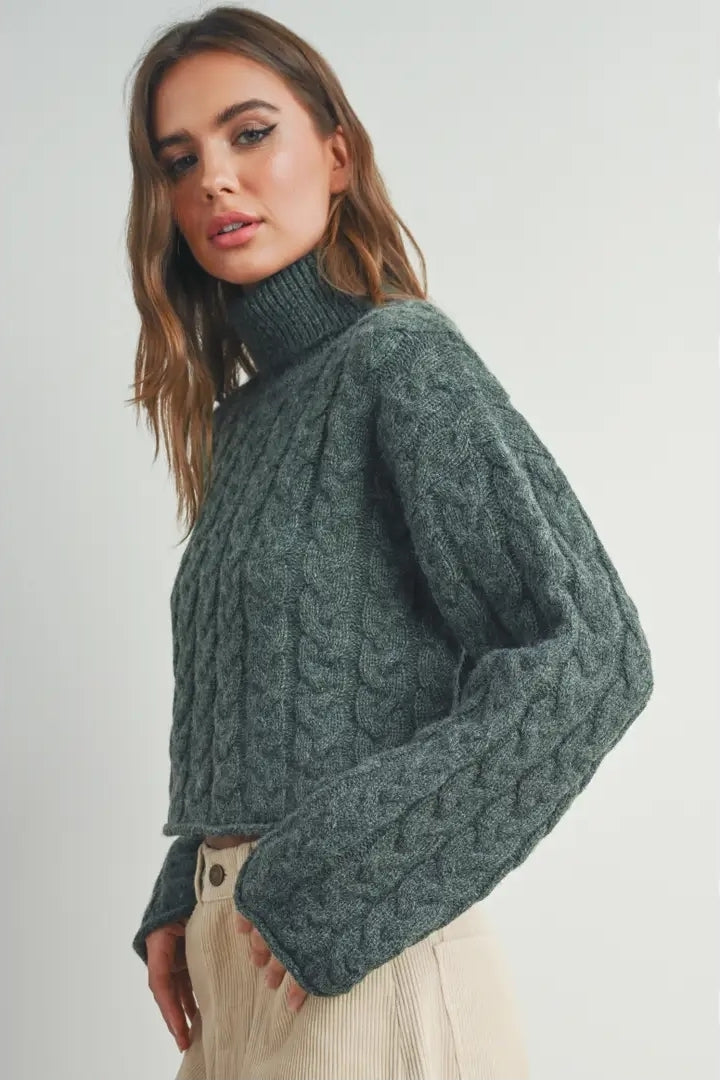 Turtle Neck Long-Sleeve Sweater image 0